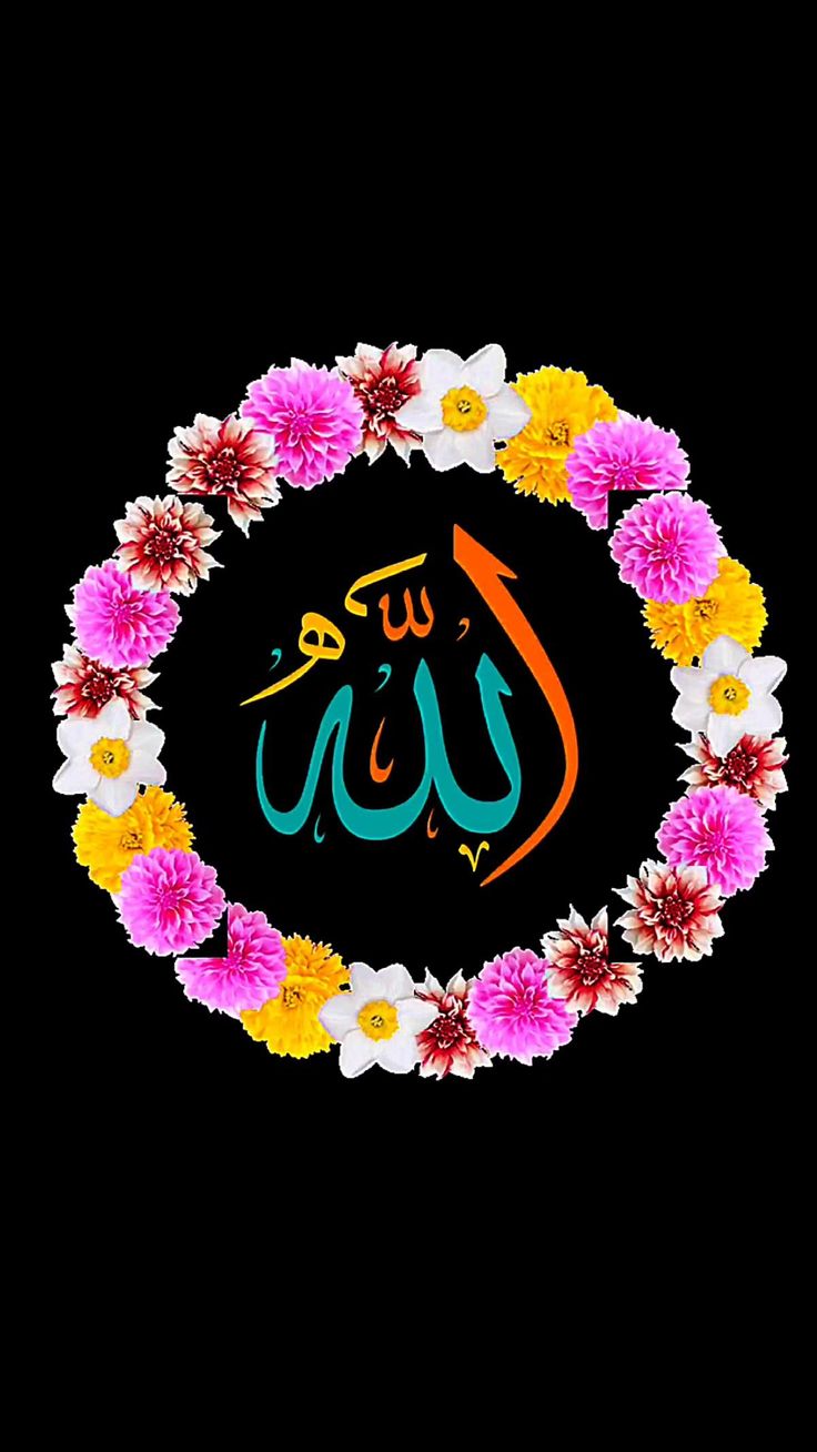قف ... إذا أردت مسيرا
