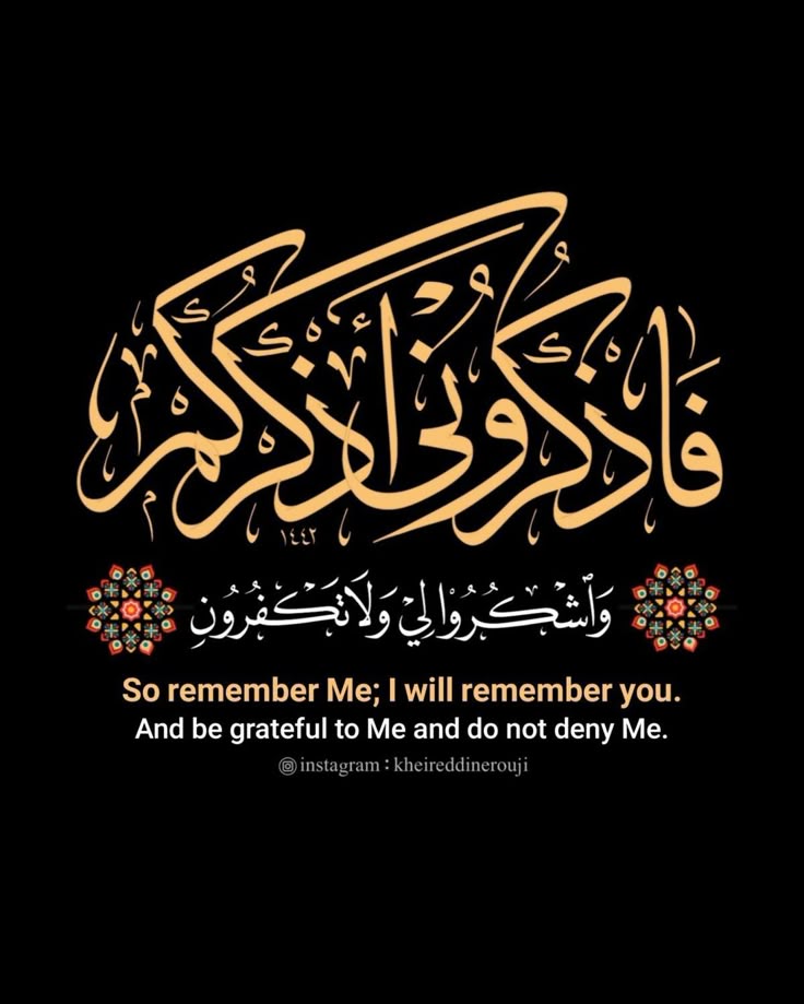 اطع امرنا - نرفع لاجلك حجبنا